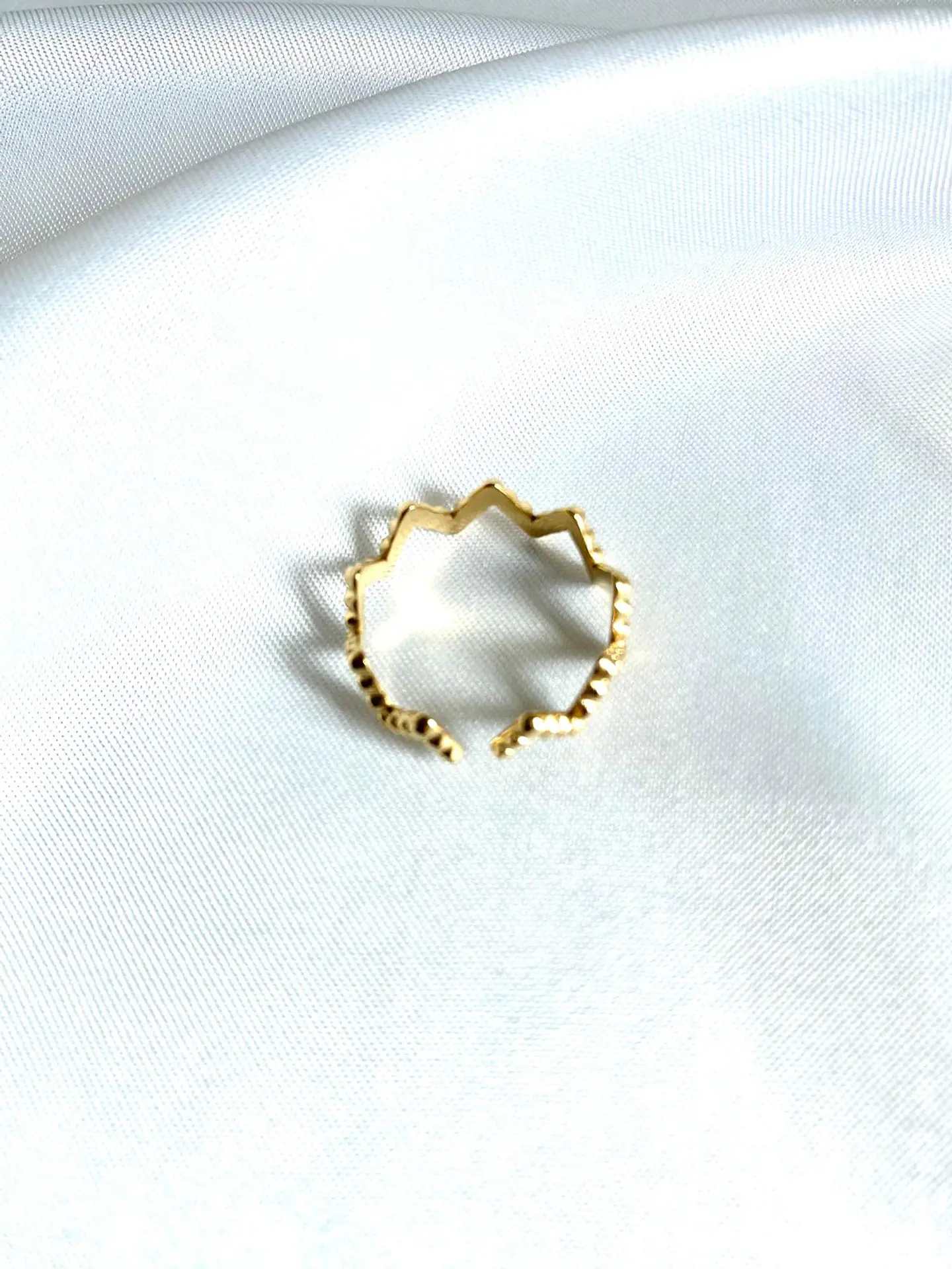 Sebastian Ring 4