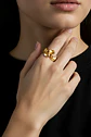 Étienne Ring - thumbnail 1