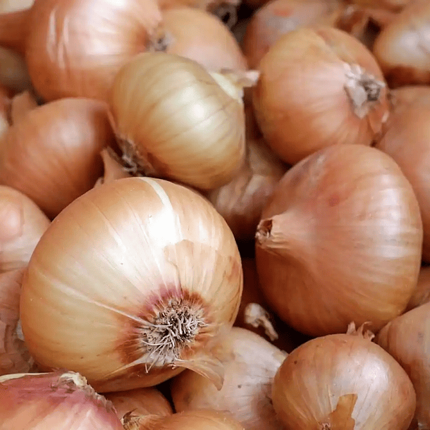 Cebollas 1 kg