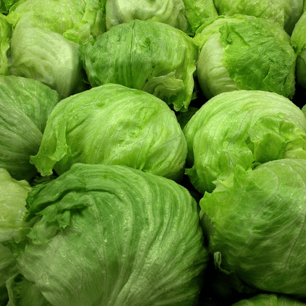 Lechuga Escarola Unidad