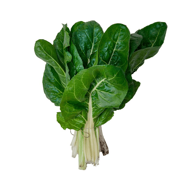 Acelga Paquete
