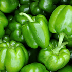 Pimiento Verde Unidad 2