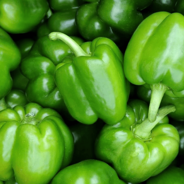 Pimiento Verde Unidad