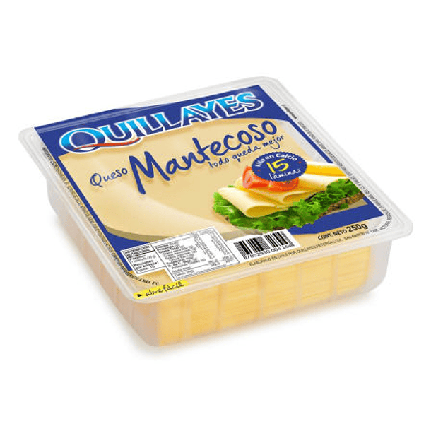 QUESO MANTECOSO LAMINAD 250GR QUIYALLES