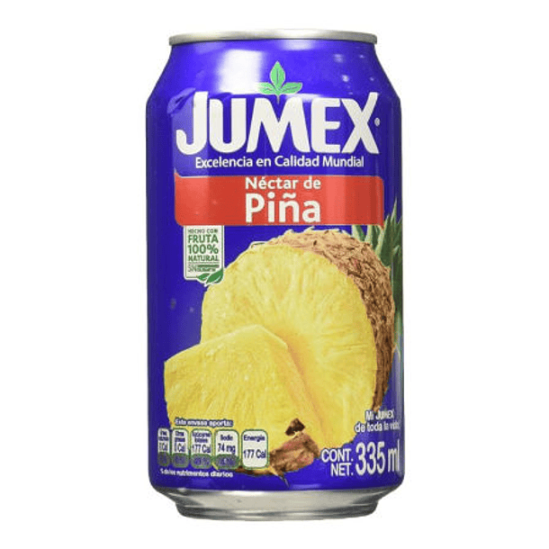NECTAR PINA JUMEX 355ML