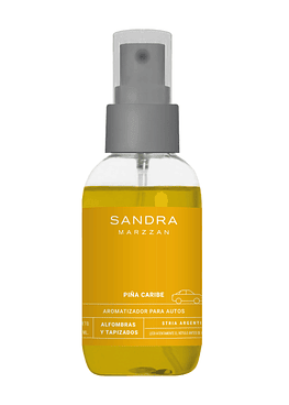 Aromatizante de auto Piña Caribe 120ml