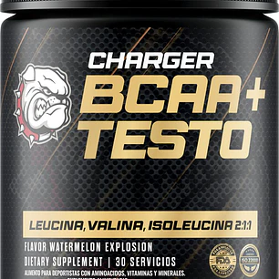 Charger BCAA+Testo Strongest
