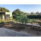 Chicureo Es Calidad De Vida! Casa 3 Dor + 2 Baños 600 Mt2 42