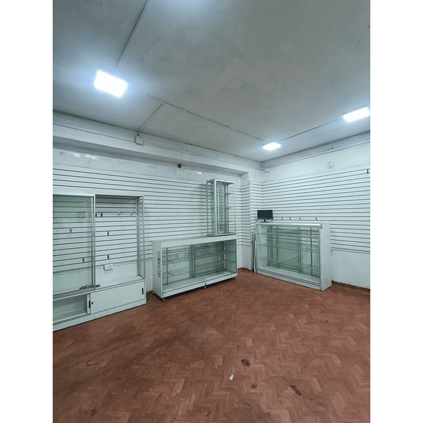 Instala Tu Negocio En El Centro De La Ciudad! Sgto. Centro 1