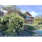 Se Vende Parcela Familiar Alto Miraflores Curacaví 4 D 3 B 14