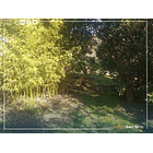 Se Vende Parcela Familiar Alto Miraflores Curacaví 4 D 3 B 26