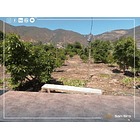 Venta Parcela La Calera 3 D 2 B 26