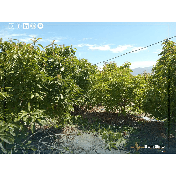 Venta Parcela La Calera 3 D 2 B 33