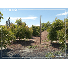 Venta Parcela La Calera 3 D 2 B 34