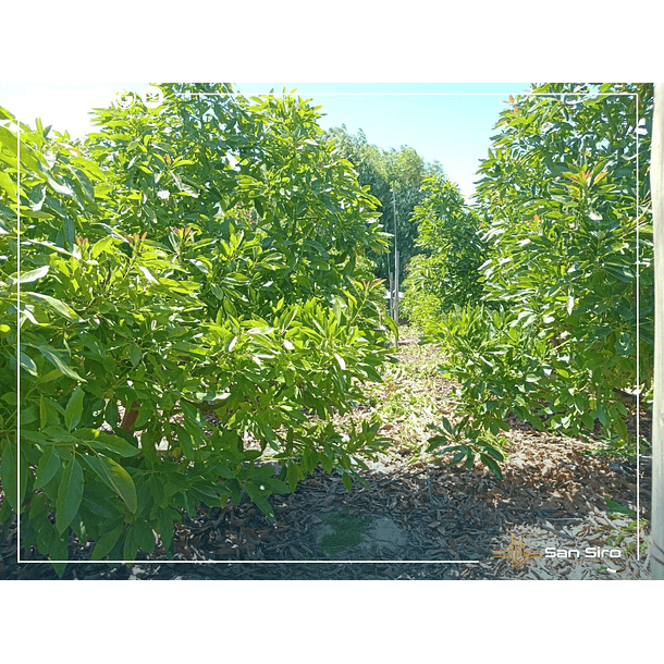 Venta Parcela La Calera 3 D 2 B 35