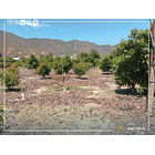 Venta Parcela La Calera 3 D 2 B 38