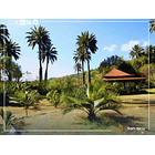 Venta Casa En Parcela 5.000m2 Oasis La Campana 3 D 3 B 1