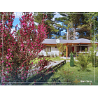 Venta 2 Casas En Parcela Villarrica 5.000m2 2