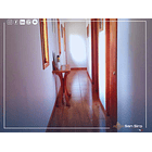 Venta 2 Casas En Parcela Villarrica 5.000m2 7