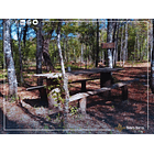 Venta 2 Casas En Parcela Villarrica 5.000m2 17