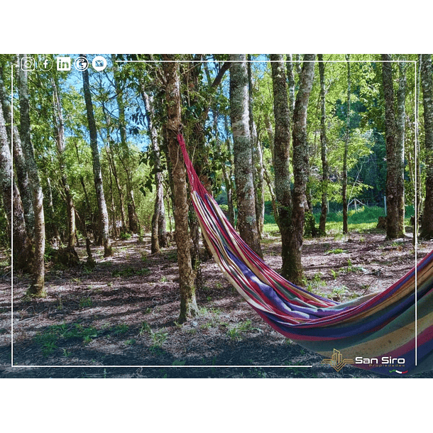 Venta 2 Casas En Parcela Villarrica 5.000m2 19