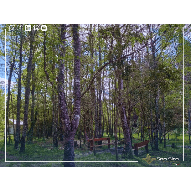 Venta 2 Casas En Parcela Villarrica 5.000m2 22