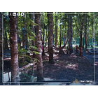 Venta 2 Casas En Parcela Villarrica 5.000m2 23