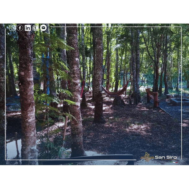 Venta 2 Casas En Parcela Villarrica 5.000m2 23