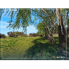 Venta Con Casa Y Supermercado En Parcela De 2 Hectáreas 2