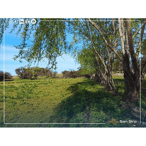 Venta Con Casa Y Supermercado En Parcela De 2 Hectáreas 2