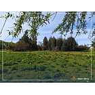 Venta Con Casa Y Supermercado En Parcela De 2 Hectáreas 3