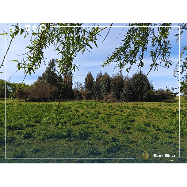 Venta Con Casa Y Supermercado En Parcela De 2 Hectáreas 3