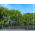 Venta Con Casa Y Supermercado En Parcela De 2 Hectáreas 15