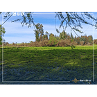 Venta Con Casa Y Supermercado En Parcela De 2 Hectáreas 16