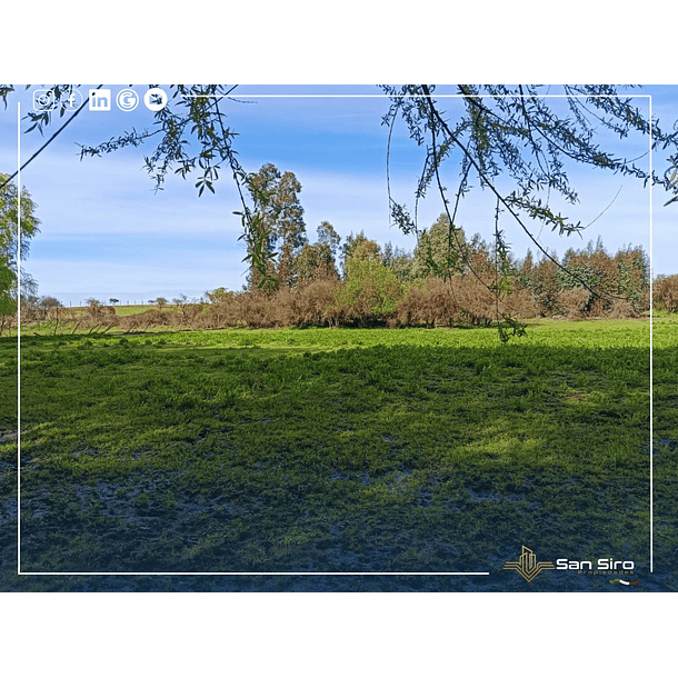 Venta Con Casa Y Supermercado En Parcela De 2 Hectáreas 16