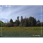 Venta Con Casa Y Supermercado En Parcela De 2 Hectáreas 17