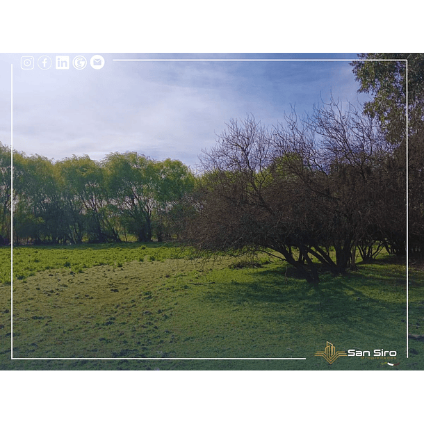 Venta Con Casa Y Supermercado En Parcela De 2 Hectáreas 22