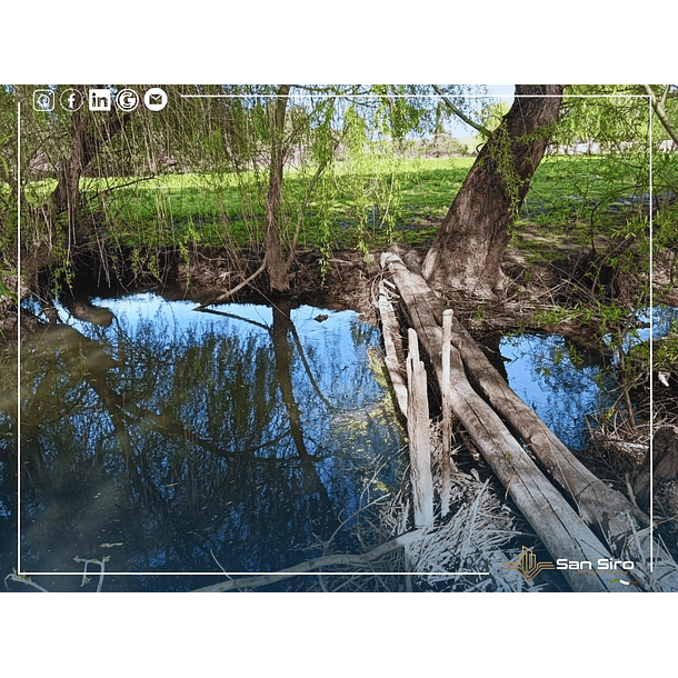 Venta Con Casa Y Supermercado En Parcela De 2 Hectáreas 24