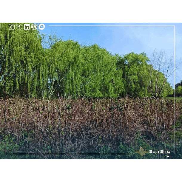 Venta Con Casa Y Supermercado En Parcela De 2 Hectáreas 25