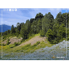 Venta Terreno 5 Hectáreas Lago Rupanco 5