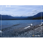 Venta Terreno 5 Hectáreas Lago Rupanco 9