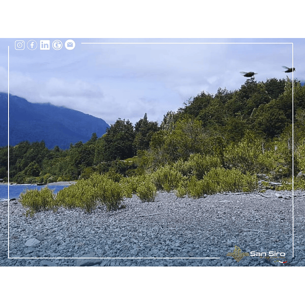 Venta Terreno 5 Hectáreas Lago Rupanco 12