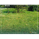 Venta Terreno con Casa Parral 5.000m2 2