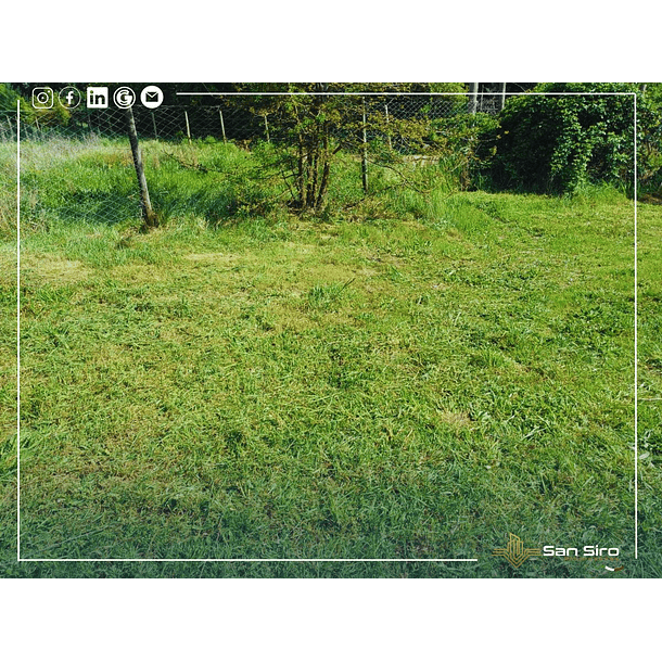 Venta Terreno con Casa Parral 5.000m2 2