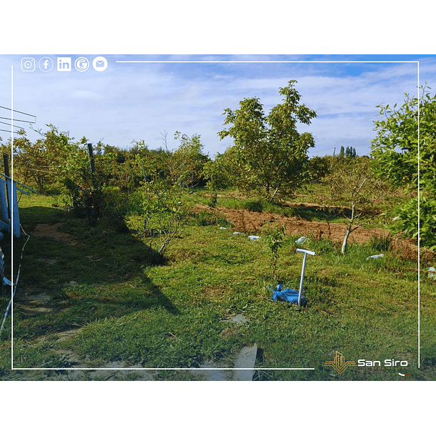 Venta Terreno con Casa Parral 5.000m2 3