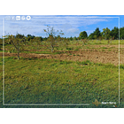 Venta Terreno con Casa Parral 5.000m2 4