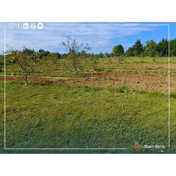 Venta Terreno con Casa Parral 5.000m2 4