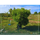 Venta Terreno con Casa Parral 5.000m2 5