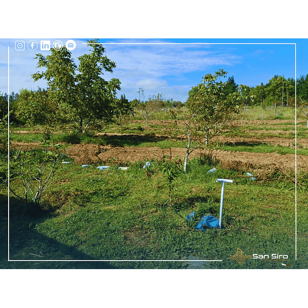 Venta Terreno con Casa Parral 5.000m2 6