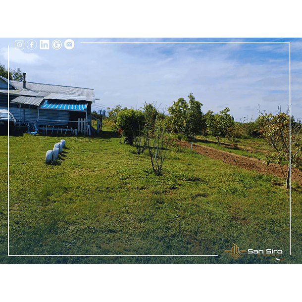 Venta Terreno con Casa Parral 5.000m2 7